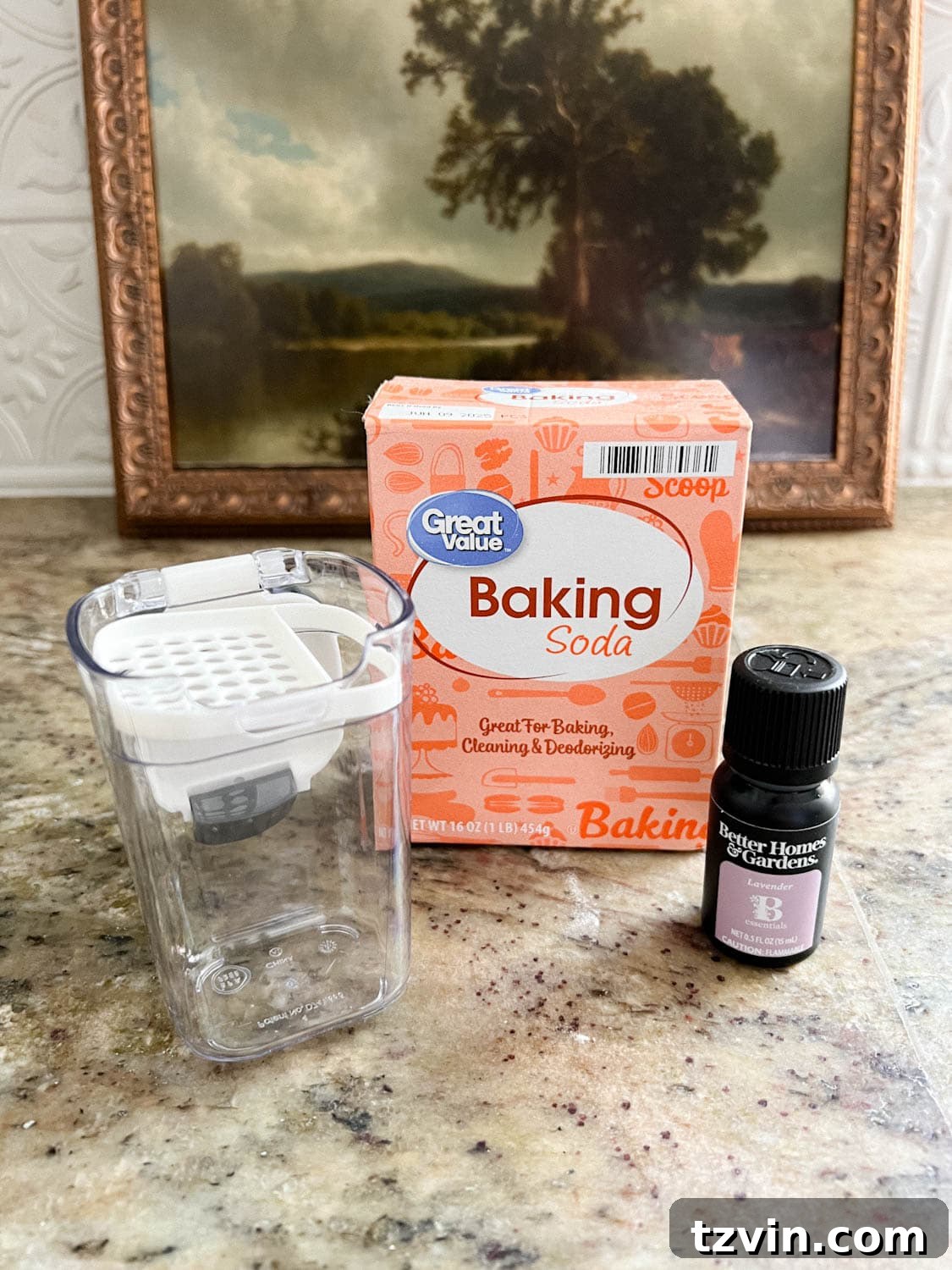 ingredients to make DIY carpet deodorizer