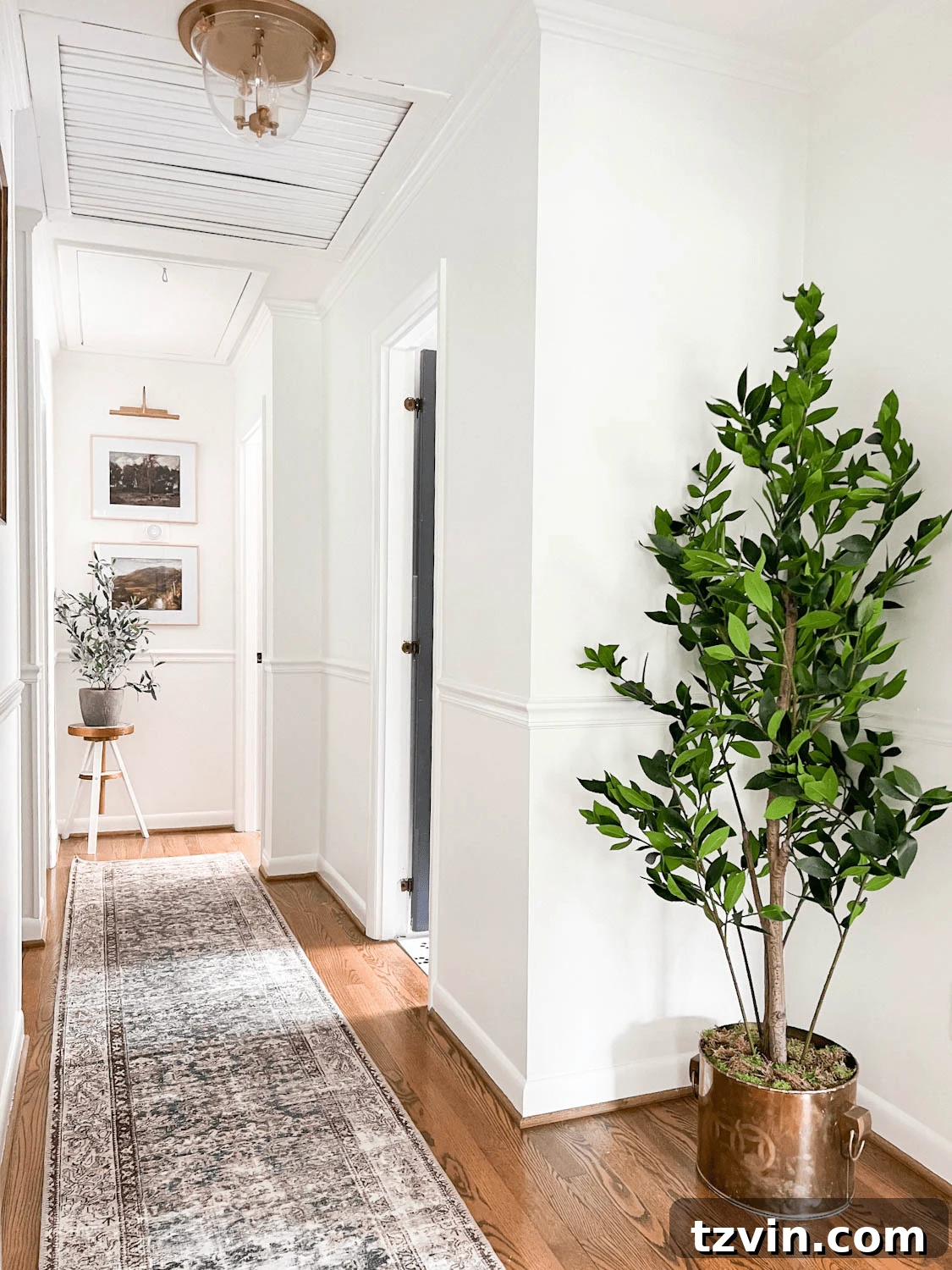 hallway decor with faux potted plant and runner rug