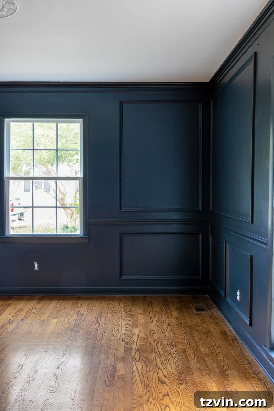 navy blue picture frame molding