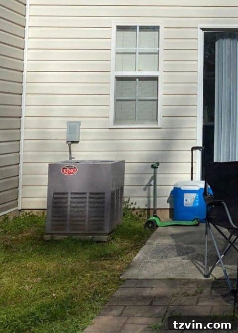 backyard HVAC unit before