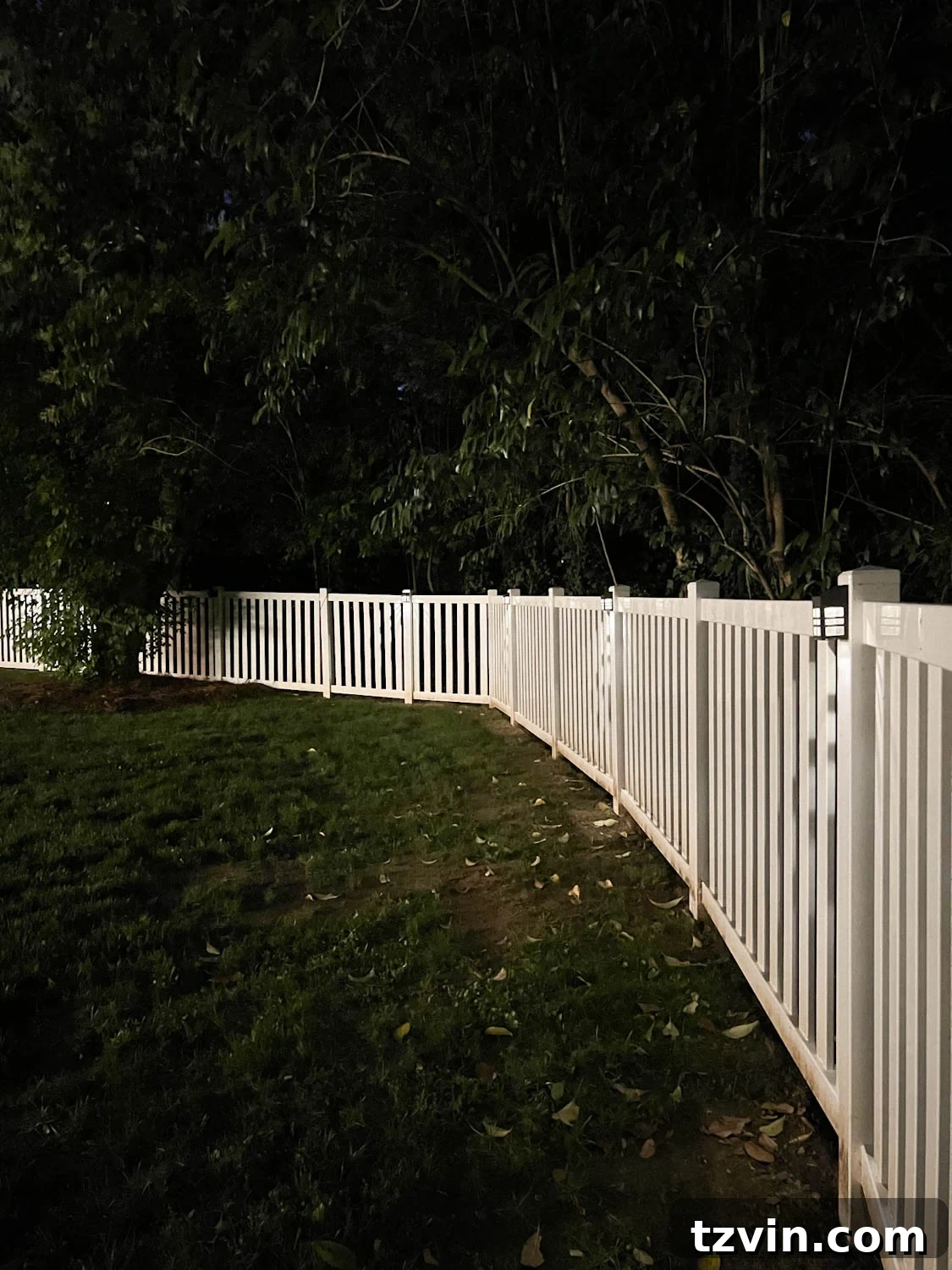 solar lights on a backyard fence
