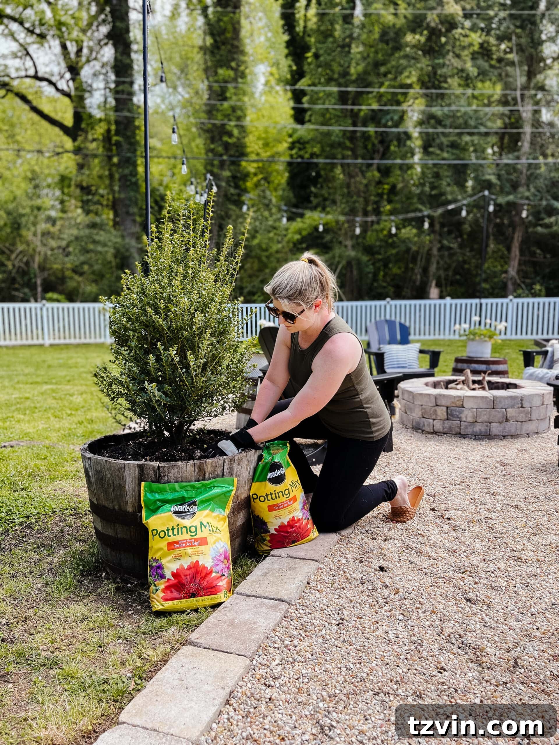 Spring Patio Refresh 5 planting boxwood tree in a barrel planter with miracle gro potting mix