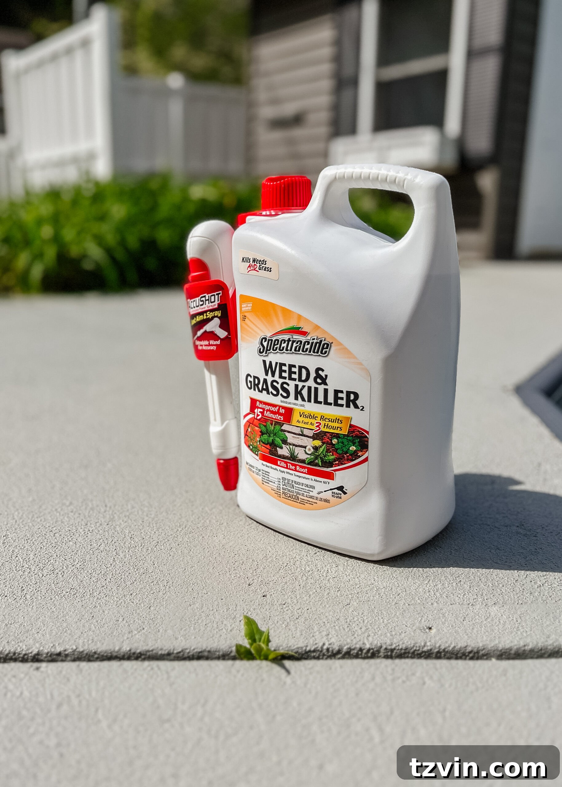 Spring Patio Refresh 6 spraying for weed removal using spectracide between walkway cracks