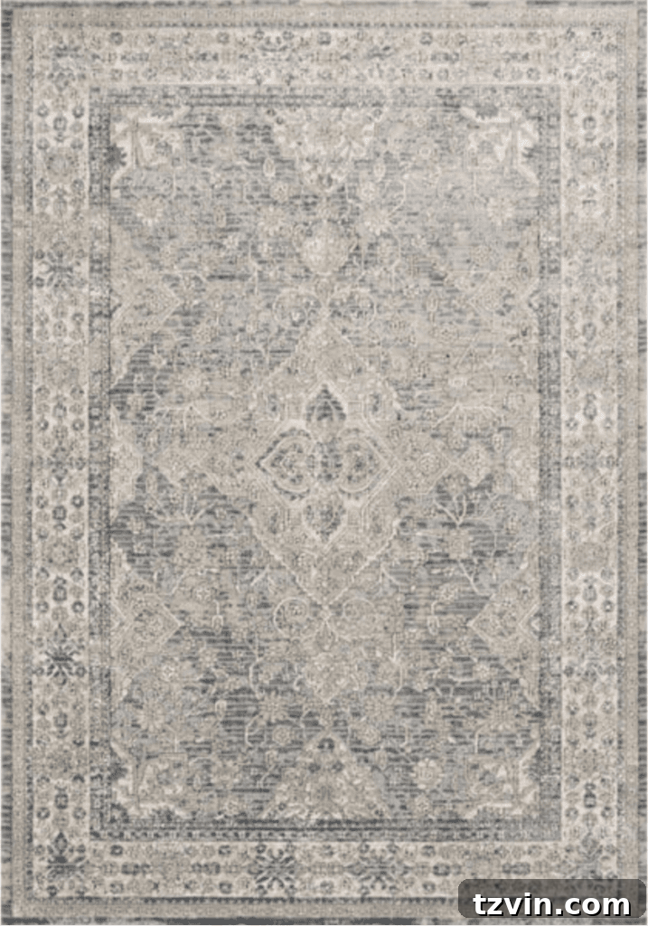 Loloi II Teagan Oriental Sky/Natural Rug