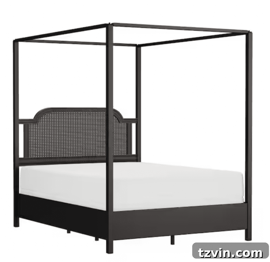 bronze cane canopy bed