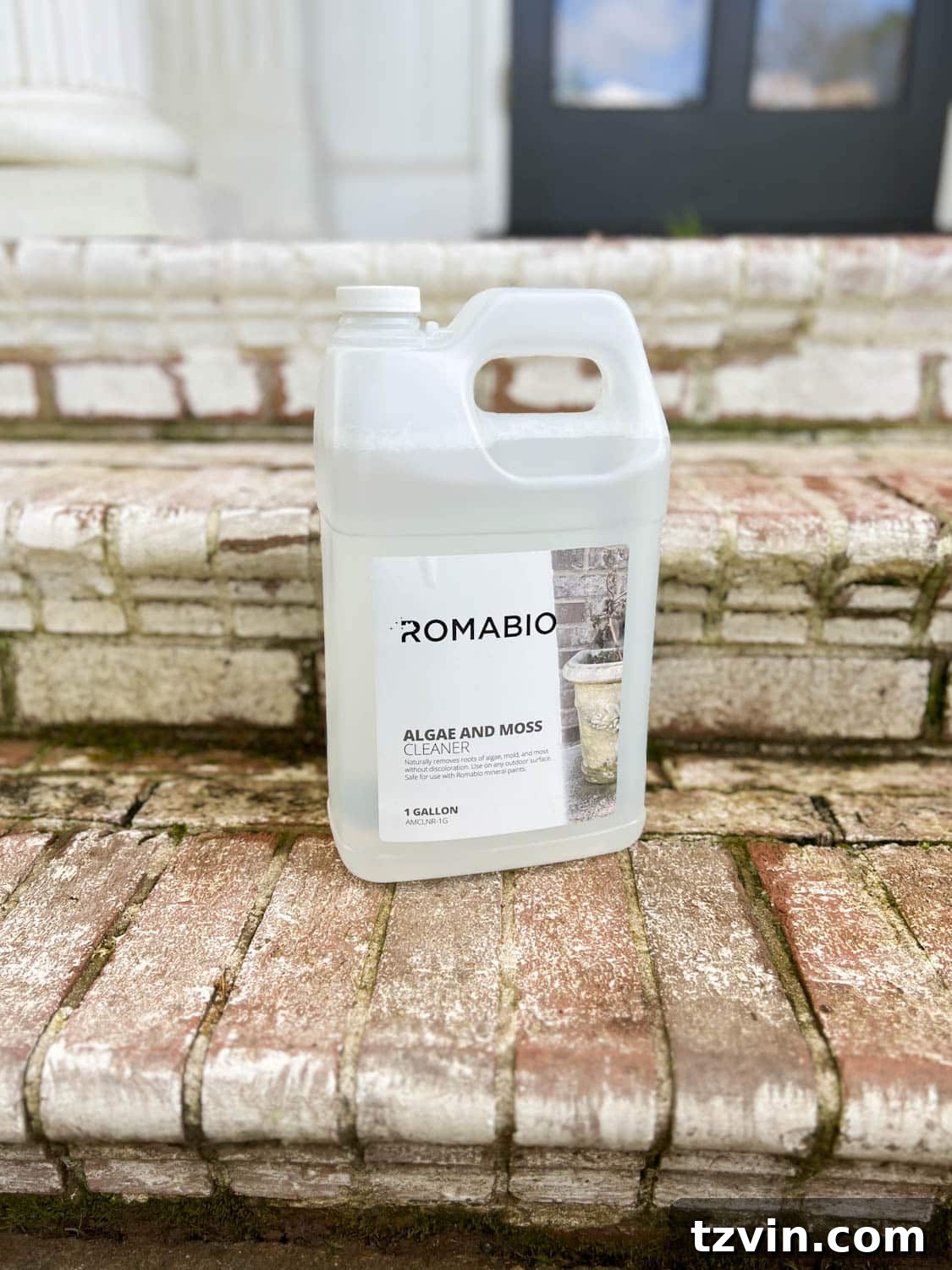 Mastering Limewashed Brick Cleaning and Upkeep 12 romabio algae and moss cleaner