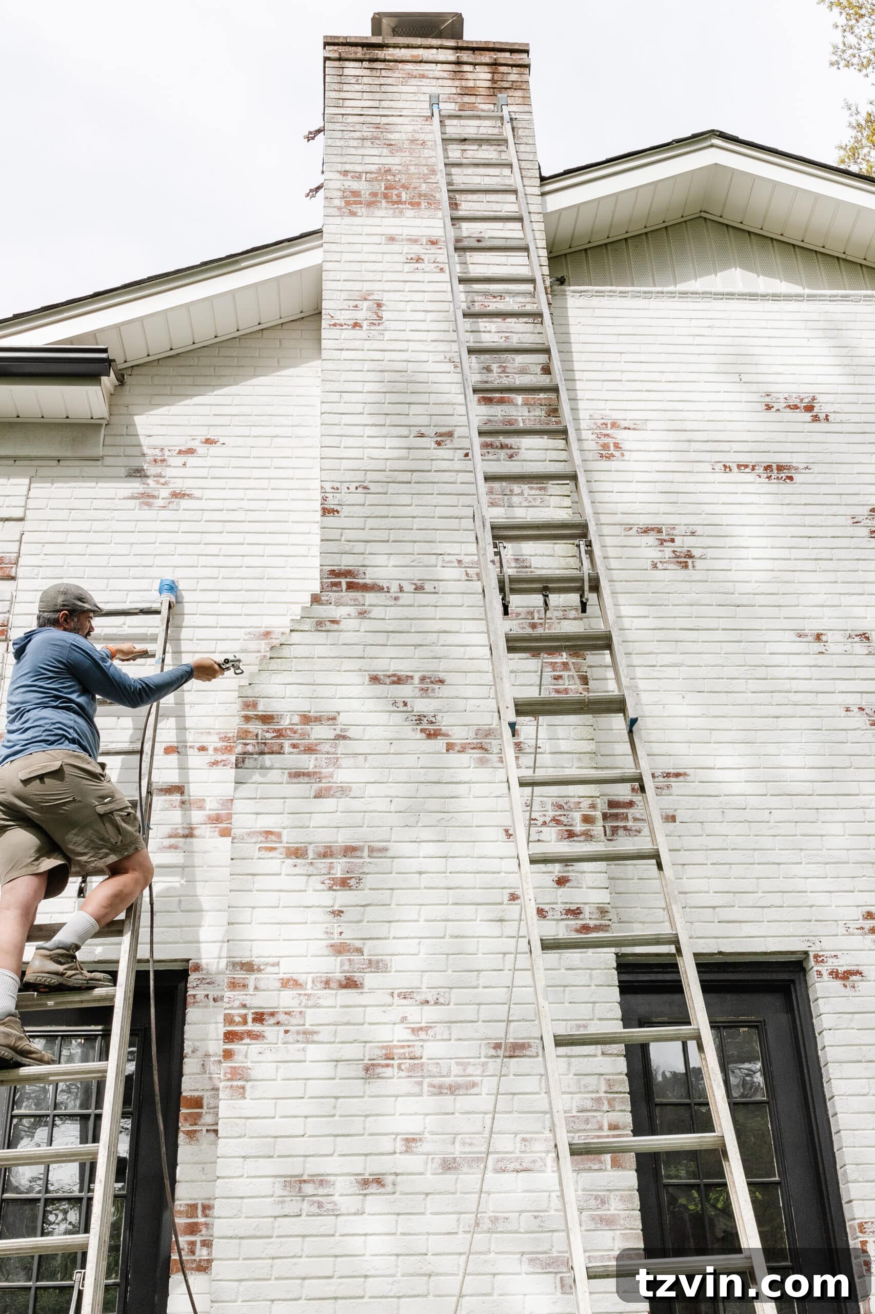 Mastering Limewashed Brick Cleaning and Upkeep 13 cleaning Romabio limewash with algae and moss cleaner