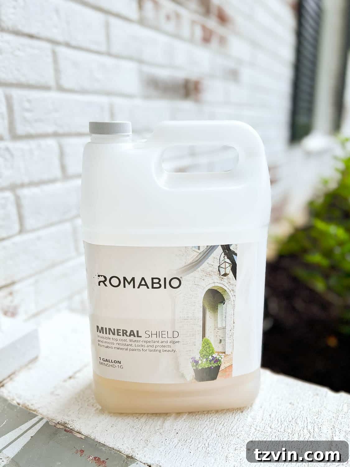 Mastering Limewashed Brick Cleaning and Upkeep 15 romabio mineral shield