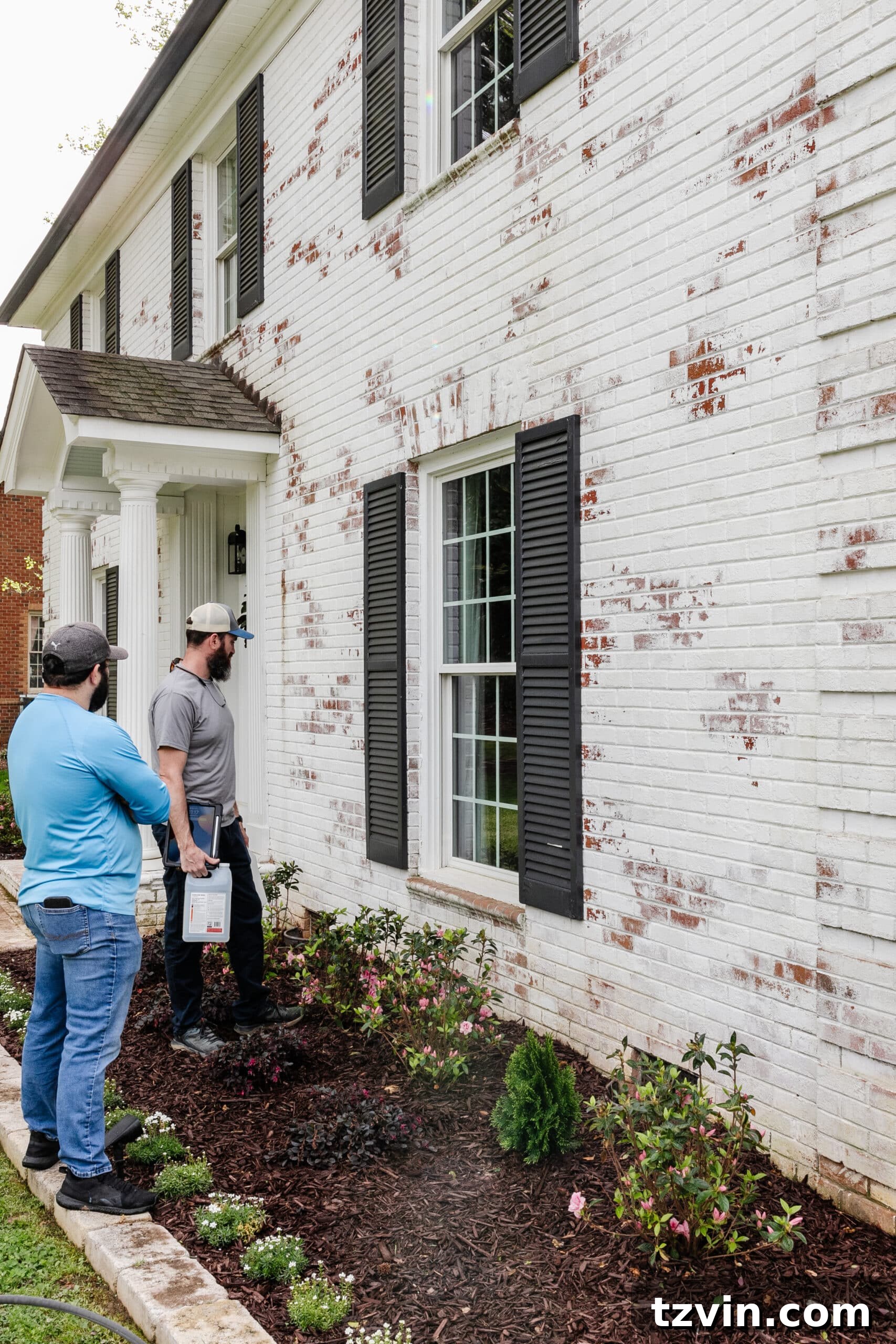 Mastering Limewashed Brick Cleaning and Upkeep 16 cleaning algae and dirt on limewash brick around a flower bed
