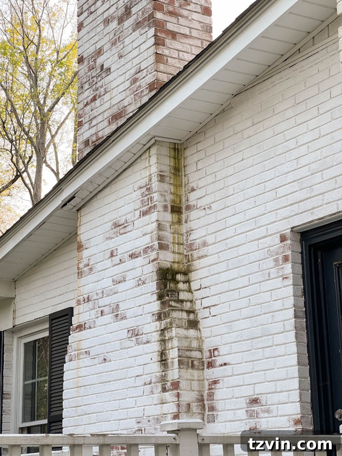 Mastering Limewashed Brick Cleaning and Upkeep 9 dirty limewashed brick exterior with algae, moss, and mildew