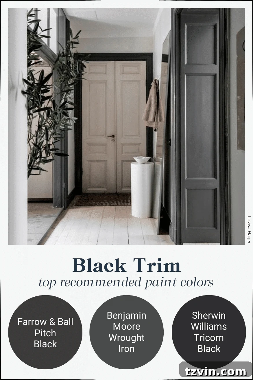 black contrast trim paint colors