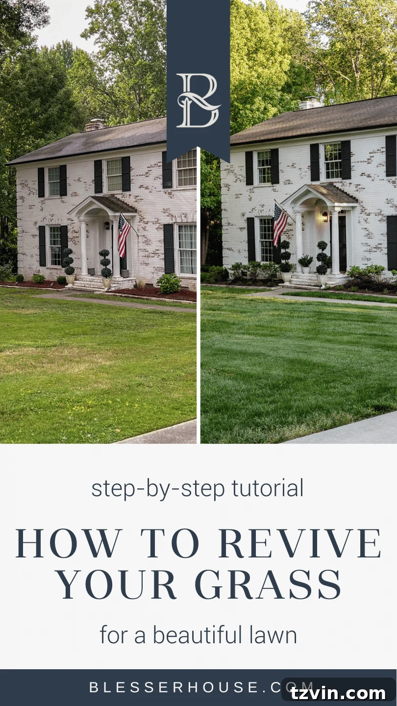 From Patchy to Pristine: Our Year-Long Lawn Makeover 2 A stunning front yard lawn makeover showcasing a lush, green lawn after implementing simplified lawn care steps.