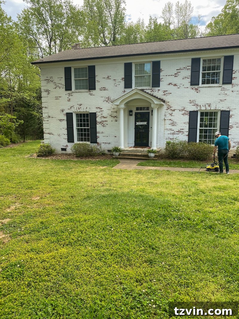 From Patchy to Pristine: Our Year-Long Lawn Makeover 4 A limewashed brick house with a neglected front yard, showing sparse grass and numerous weeds before the lawn makeover project.