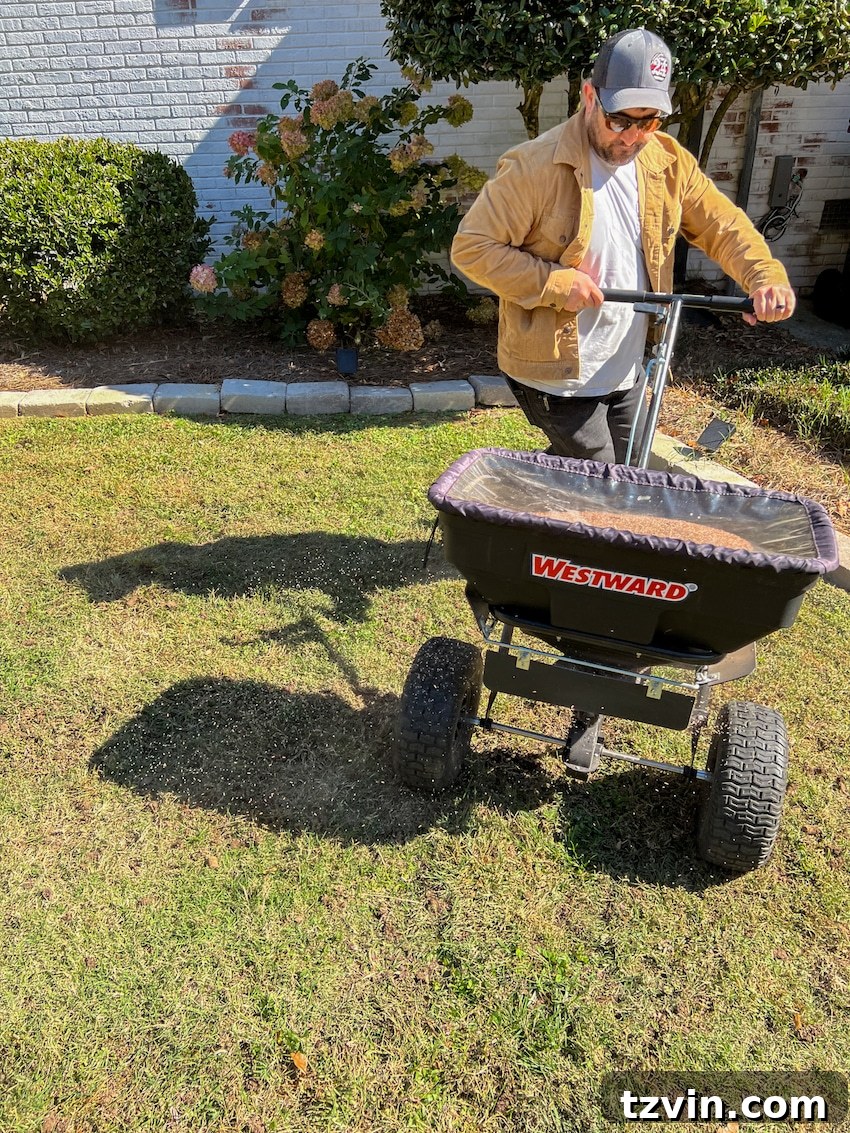 From Patchy to Pristine: Our Year-Long Lawn Makeover 9 A person planting grass seed and fertilizer using a seed spreader, demonstrating the process of even application across a lawn.