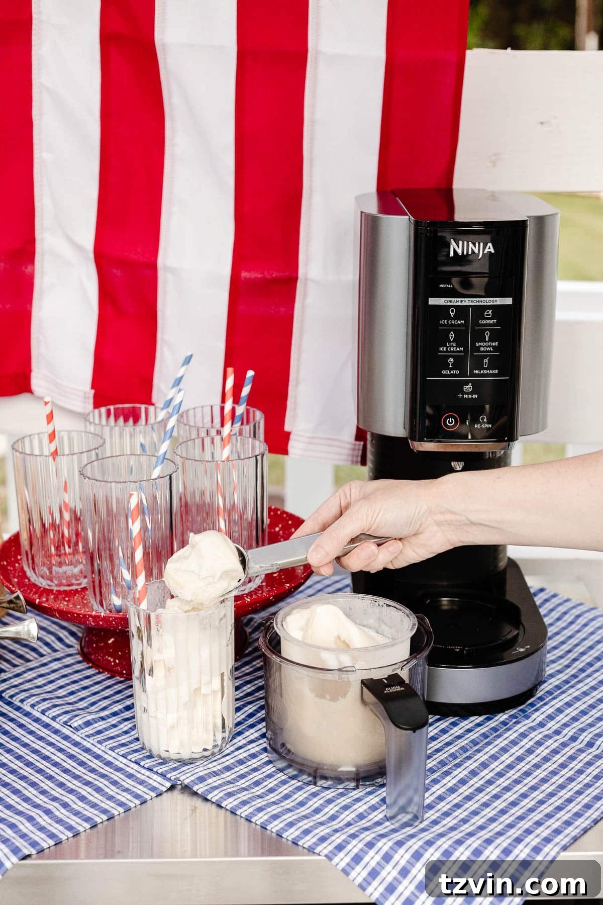 Stars and Stripes Sundae Station Made Easy 5 Close-up of the ingredients for a 3-ingredient vanilla protein ice cream made in the Ninja Creami.