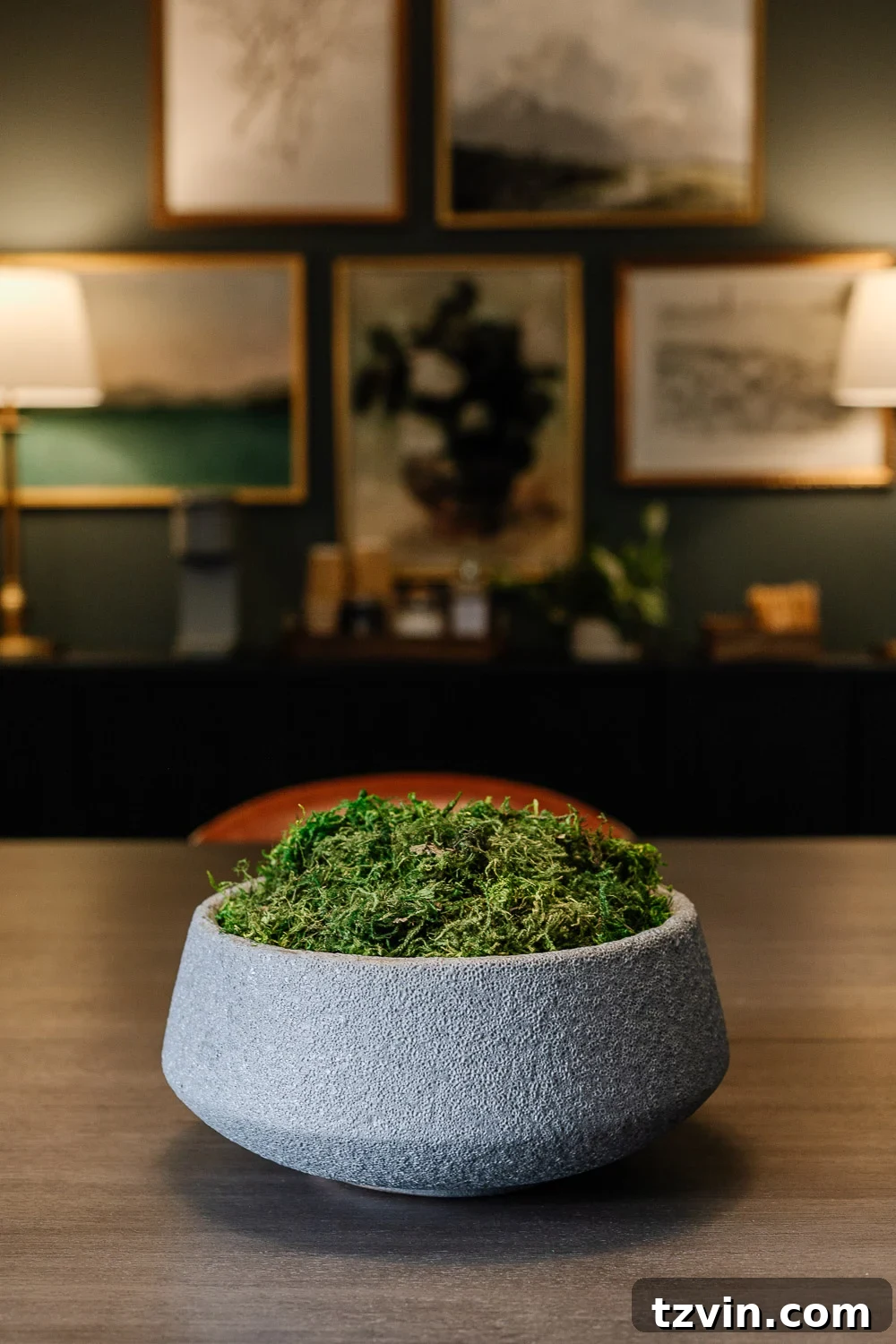 Nature decor featuring moss bowl filler, adding a subtle touch of green and texture to any display.