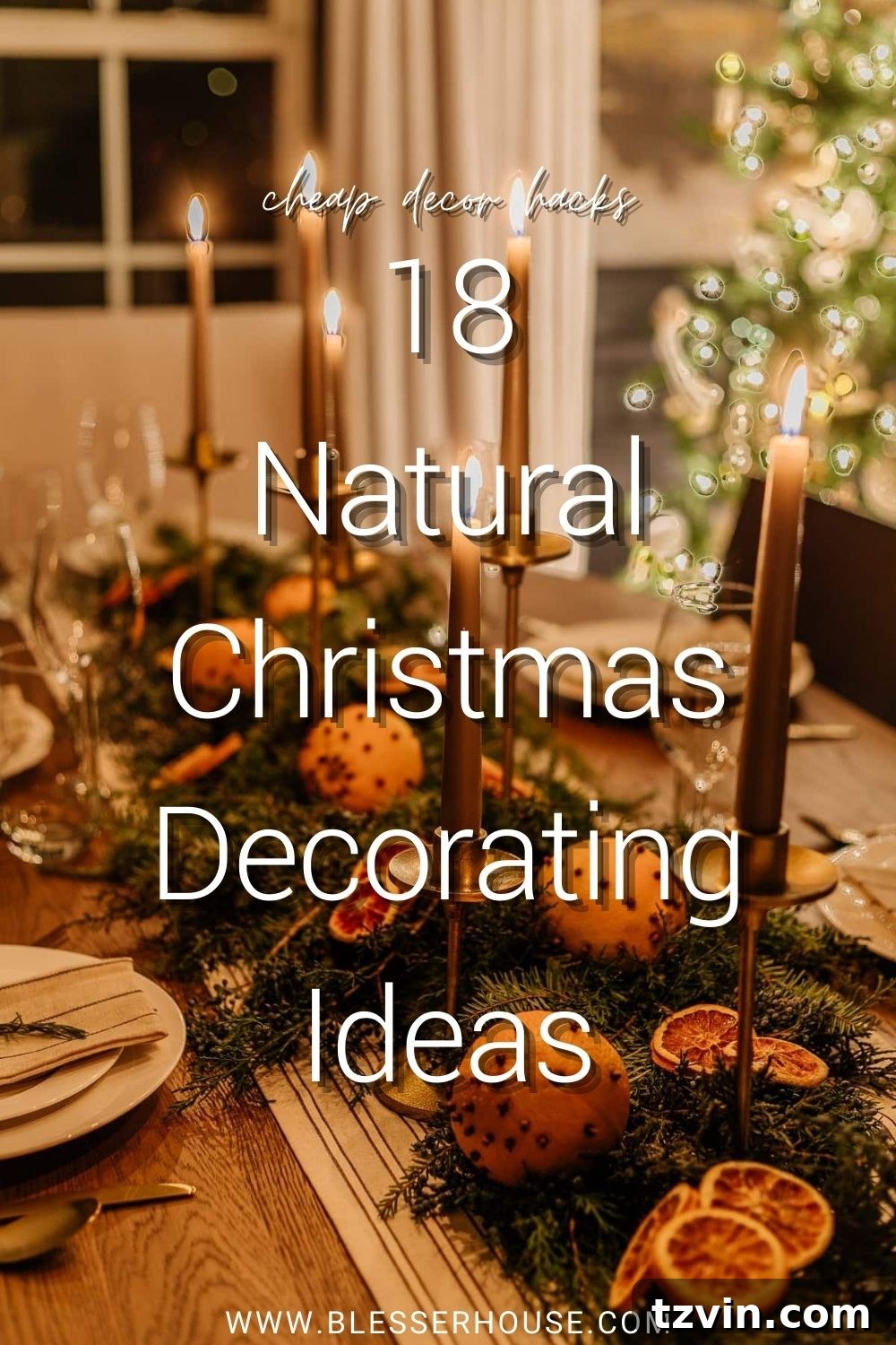Collection of natural Christmas decor elements including evergreen branches, dried orange slices, and pine cones, showcasing cheap natural Christmas decor ideas