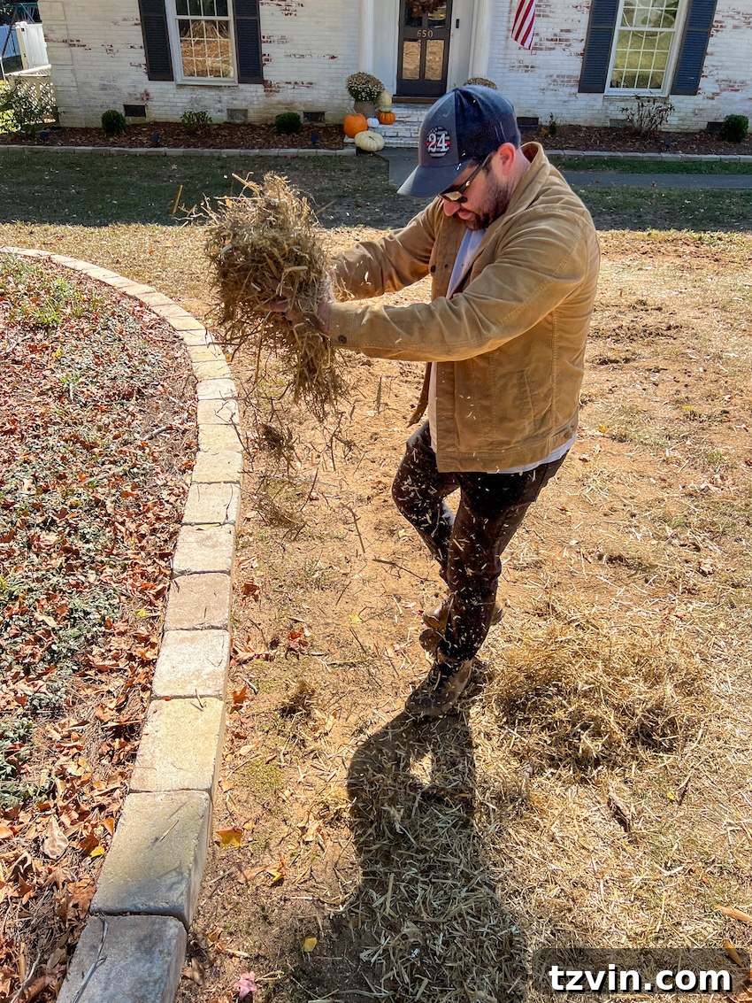 Wow-Worthy DIY Front Yard Transformations 8 Scattering hay over newly seeded bare patches in a lawn as part of a front yard restoration project