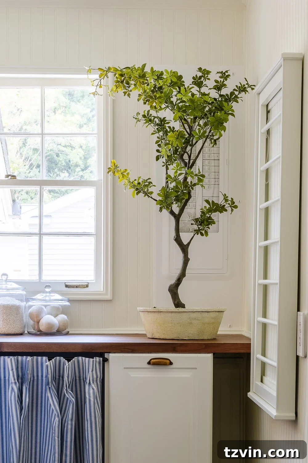 The Narrow Laundry Room: A Functional Powerhouse 6 hidden electrical panel in white and potted tree in front
