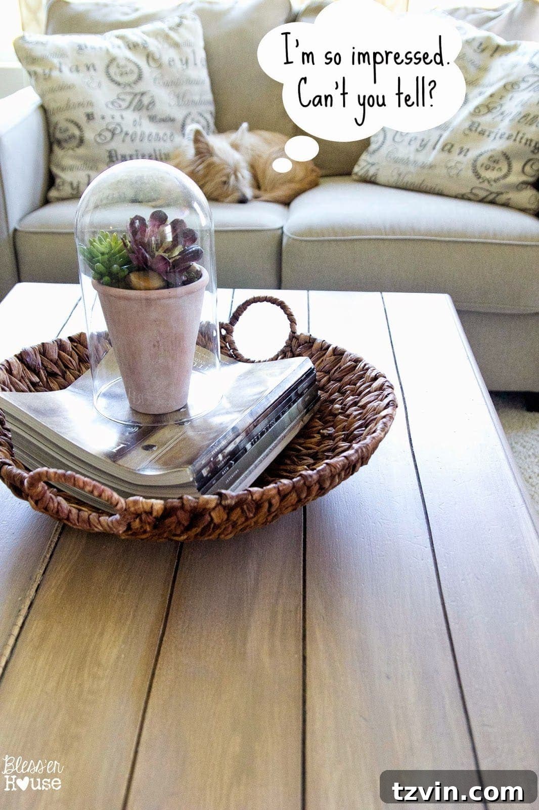 Lola the Dog and Faux Planked Card Catalog Coffee Table