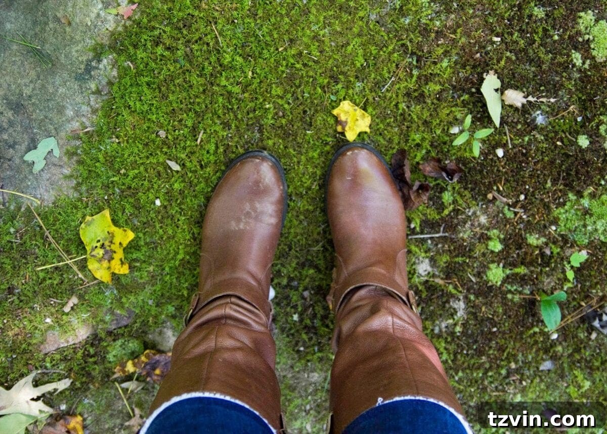 Fall trail